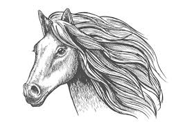 Met pasen is het altijd feest. Paardenhoofd Vectoren Illustraties En Clipart 123rf