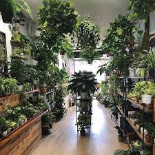 University Heights San Diego Op Instagram San Diego Is Just Teeming With Talented Artists Small Businesses And Locally In 2020 Plants Indoor Garden Indoor Plants