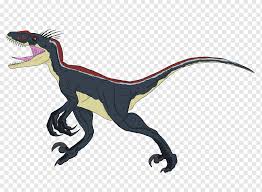 Jurassic park, a velociraptor pack inhabits the abandoned village on isla sorna. Velociraptor Deinonychus Jurassic Park Animal Jurassic Park Fauna Terrestrial Animal Fictional Character Png Pngwing