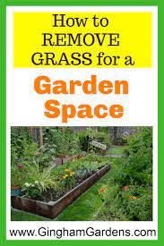 Pin On Tips For Beginning Gardeners
