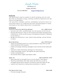 joe gatto resume