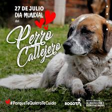 Check spelling or type a new query. 27 De Julio Dia Internacional Del Perro Callejero Bogota Gov Co