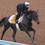 カニキュル、52キロで一発　菊沢師「ジョッキーが大変」名手戸崎騎手の手腕に期待／府中牝馬Ｓ