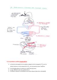 Book of arcane magic by k. Pdf Telecharger La Respiration Cycle 3 Gratuit Pdf Pdfprof Com