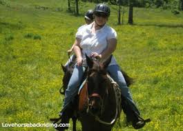 Rent a horse for a day near me. Horse Riding Rental