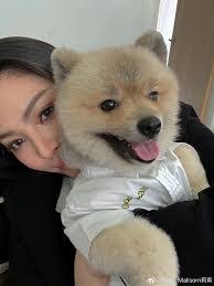 Faye Cheek's Instagram, Twitter & Facebook