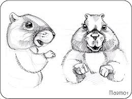 Cute Marmot Groundhog Animal Sketches Silhouette Art Wildlife Paintings