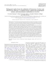 Image result for Cenchrus trisetus