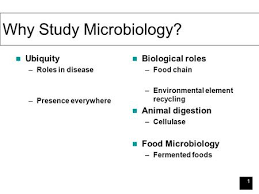 Microbiology For The Health Sciences Chapter 1 Ppt Video Online Download