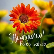 Pin On Buon Sabato Amici