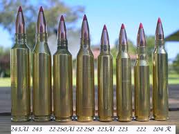 243 Vs 6 5 Grendel Google Search Bottles Decoration Wine Bottle Bottle