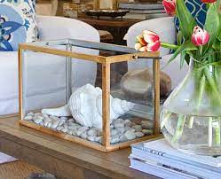 We did not find results for: Keepsake Glass Display Boxes Coastal Decor Ideas Interior Design Diy Shopping