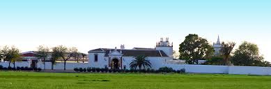 Image result for Atalaya alata