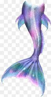Mermaid Tail Png And Clipart Mermaid Wallpapers Mermaid Painting Realistic Mermaid