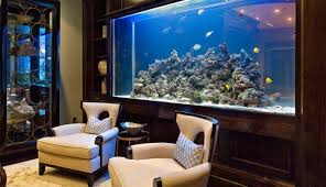 We did not find results for: Vastu Tips For Place Fish Aquarium In House Lifeberrys English Dailyhunt