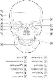 Kapit went on to create the physiology coloring book with the assistance of two professors who were teaching at berkeley: 4 Head Neck And Dental Anatomy Pocket Dentistry