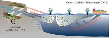 The data for rock material a and rock material b is graphed on the next page: Frontiers Co2 Removal With Enhanced Weathering And Ocean Alkalinity Enhancement Potential Risks And Co Benefits For Marine Pelagic Ecosystems Climate