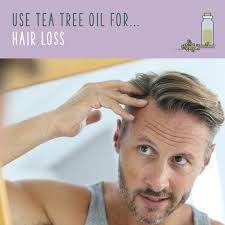 Tea tree oil controls excess hair oils. How To Use Tea Tree Oil For Hair And Scalp Health