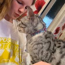 Collar de gato de nube de arcoíris para mascotas podridas, hebilla de  seguridad hecha a mano en el Reino Unido Kitsch para gatos y gatitos Kawaii 