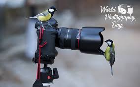The day is observed all over the world to celebrate the art, craft, science and history of photography. World Photography Day Birds On Camera