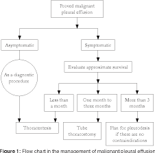 Figure 1 From An Update In The Management Of Malignant