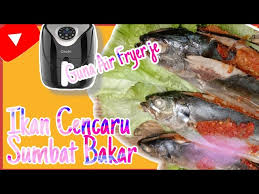 Ikan cencaru juga dikenali dengan beberapa nama lain seperti ikan jaket dan ikan kerongan. Ikan Cencaru Sumbat Kelapa Litetube