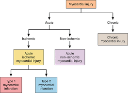 Assessment And Treatment Of Patients With Type 2 Myocardial Infarction And Acute Nonischemic Myocardial Injury Circulation
