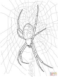 Hours of fun await you by coloring a free drawing best drawings easy spiderman. Black And Yellow Garden Spider Coloring Page Free Printable Coloring Pages Spider Coloring Page Spider Coloring Pages Free Printable Spider Coloring Pages