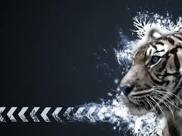 Cool Tiger Wallpapers Top Free Cool Tiger Backgrounds Wallpaperaccess