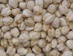 Image result for Cicer