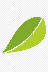 White Tea Fuding Green Tea Leaf Fuding White Tea Leaves Leaves Vector Material White Tea Tea Leaves Green Tea