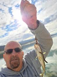 So I went fishing for bass specifically for the first time ! I caught 4  small mouth !! So I need help identifying the striped fish in the picture ?  Thank you in advance :)