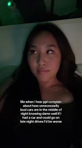 Loud music + full bass + a yapping passenger + loud laughing for sure ...