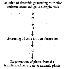 the given flow chart depicts the steps to transfer a