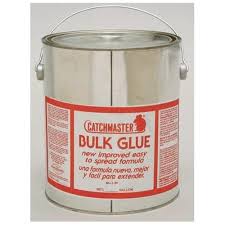 Catchmaster 72max pest trap, 36count, white подробнее. Rodent Trap Glue 1 Gallon Buy Online In El Salvador At Elsalvador Desertcart Com Productid 24037274