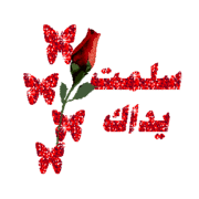 فان طال الزمان ولم تروني فهذا خطي فتذكروني