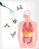 We work inside and out to help keep your home pest free. Exposure To Pesticides And The Associated Human Health Effects Sciencedirect