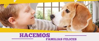 Por favor máxima Difusión para encontrar a Nutella Tabio tenjo cajica  Zipaquirá puede estar en cualquier parte por que fue robada