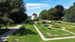 The berlin botanic garden and botanical museum (german: Botanischer Garten Der Universitat Wien Wikipedia