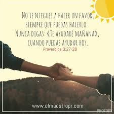 8d3eac35e2d1e5884d740602da42dd33 Jpg 960 960 Pixeles Sabiduria De Dios Palabras De Animo Dignidad Frases