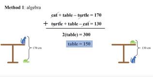 20 Tricky But Fun Grade School Math Questions Hard Math Problems In 2020 Grade School Math Math Questions Math