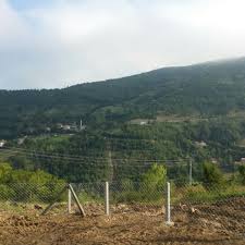 1,392 likes · 24 talking about this. Photos At Bartin Ulus Hasanoren Forest