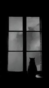 15, gambar, wallpaper, kucing, yang, lucu, imut, dan, unik, name. A R Ï¯ E P S Ye Ï¯ I C Ñ• Awww Hithere Seni Kucing Ilustrasi Lukisan Fotografi Abstrak