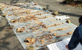 Последние твиты от ケイン・ヤリスギ「♂」 (@kein_yarisugi). Zdte8uajwaivym