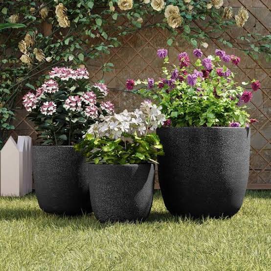 choosing the right pots for your plants