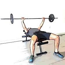 Quels sont les exercices de musculation pour le dos les plus efficaces pour gagner en masse musculaire ? Les Meilleurs Exercices De Musculation Avec Materiel
