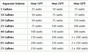 How To Get The Best Aquarium Heaters Fishxperts