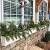 Christmas Winter Window Box Ideas