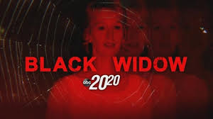 You are watching the swedish adaptation of this series [✔. 20 20 Black Widow Watch Full Episode 2019 02 08