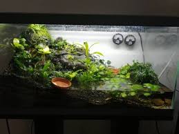 Fouiny Paludarium Page 4